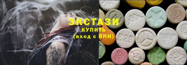 шишки Губаха