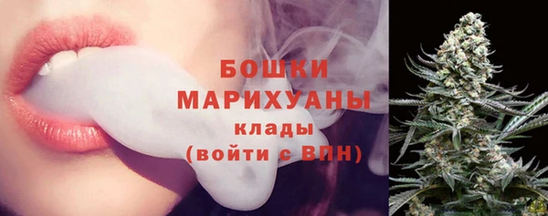 прущие грибы Верея