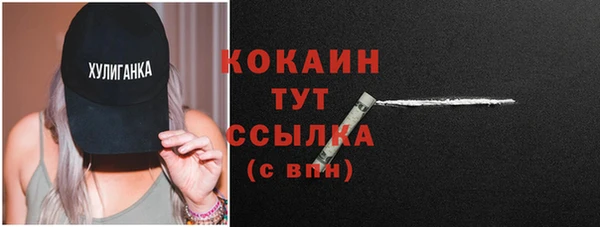 шишки Губаха