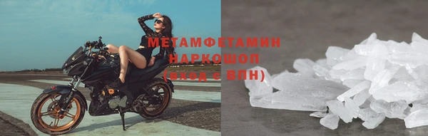 прущие грибы Верея