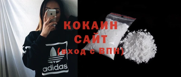 прущие грибы Верея