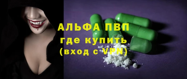 прущие грибы Верея