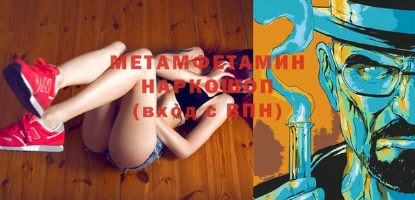 прущие грибы Верея
