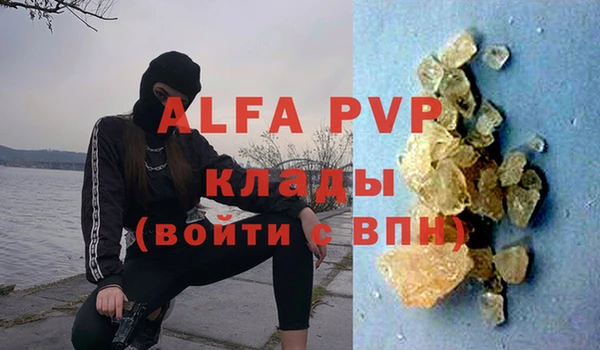 прущие грибы Верея