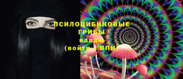 прущие грибы Верея