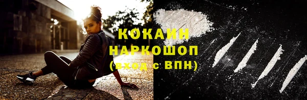 прущие грибы Верея