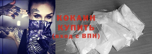 прущие грибы Верея
