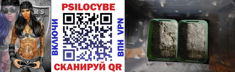Галлюциногенные грибы Psilocybine cubensis  купить наркотик  Новохопёрск 
